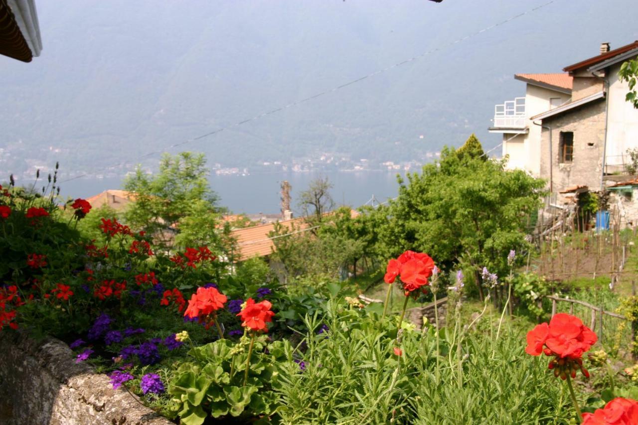 Il Mulino Di Hotel Villa Aurora نيسّو المظهر الخارجي الصورة