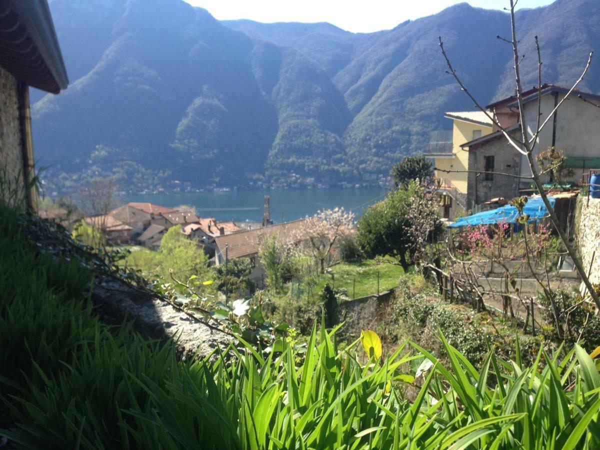 Il Mulino Di Hotel Villa Aurora نيسّو المظهر الخارجي الصورة
